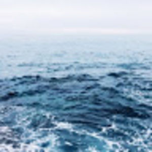 Meet your Posher, Minipant1